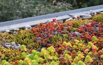 the cost of Three Hammers green roof installation