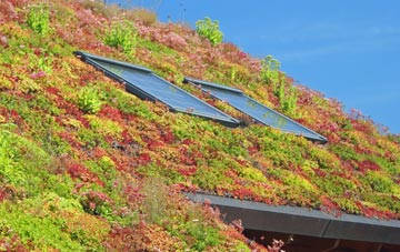 Three Hammers living roof systems