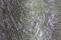 Three Hammers fibreglass roof work